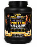 Premium Protein Mass Gainer – Vanilla Milkshake – 6 LB